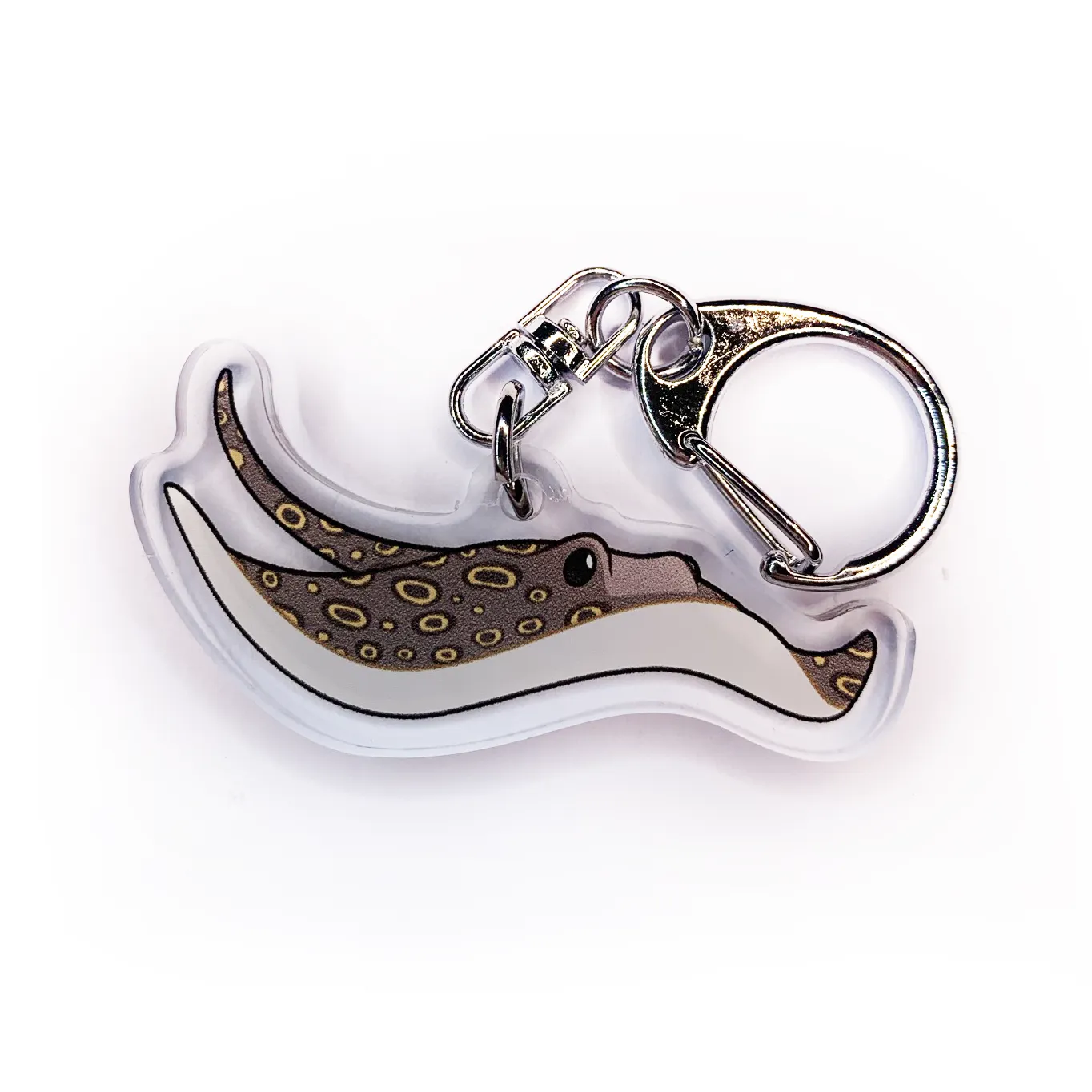 Acrylic Keychain - Invertebrates & Fish