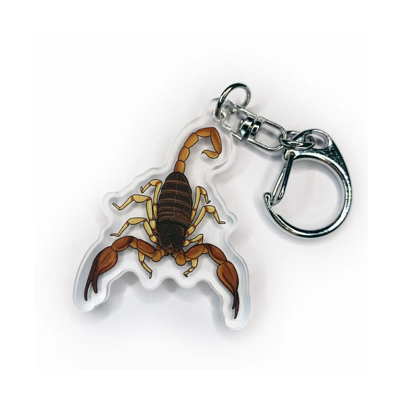 Acrylic Keychain - Invertebrates & Fish